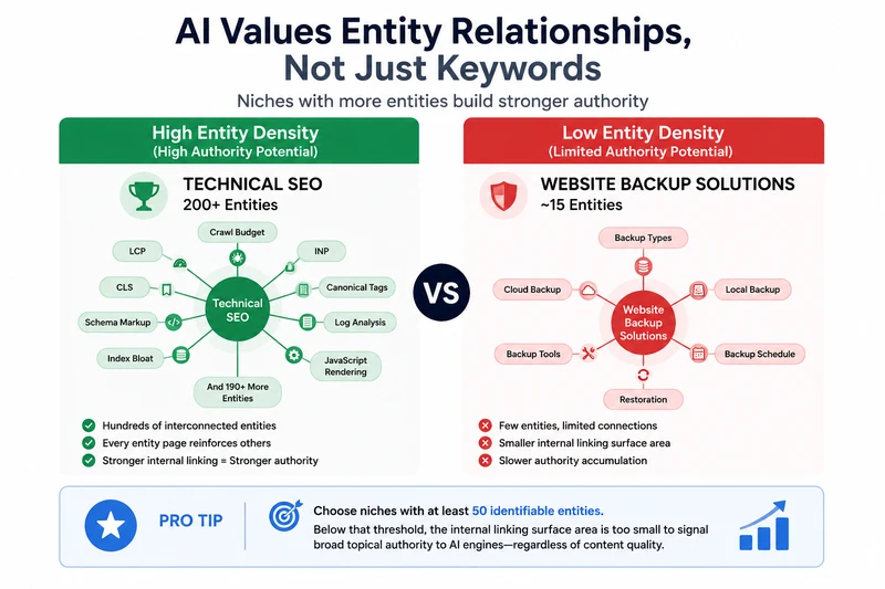 Entity Density infographic
